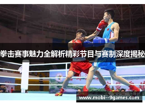 拳击赛事魅力全解析精彩节目与赛制深度揭秘