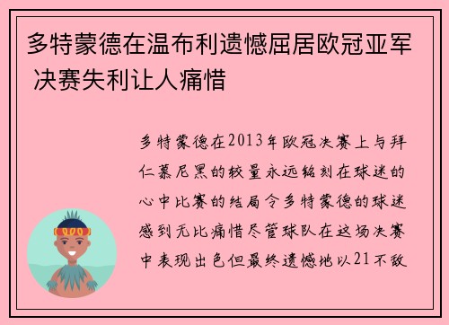 多特蒙德在温布利遗憾屈居欧冠亚军 决赛失利让人痛惜