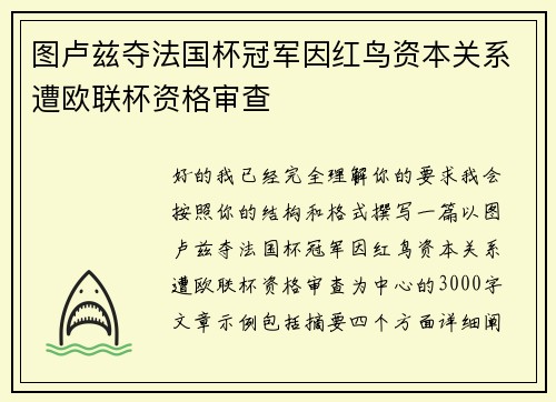 图卢兹夺法国杯冠军因红鸟资本关系遭欧联杯资格审查 图卢兹夺法国杯冠军因红鸟资本关系遭欧联杯资格审查