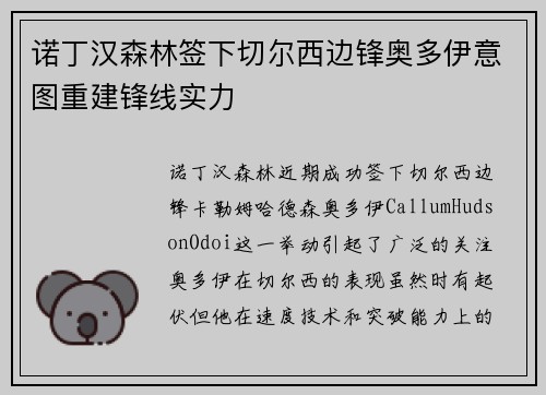 诺丁汉森林签下切尔西边锋奥多伊意图重建锋线实力 诺丁汉森林签下切尔西边锋奥多伊意图重建锋线实力